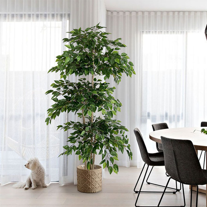 70in Ficus Artificial Tree Lar - đánh giá và giá Ficus Lyrata Tree