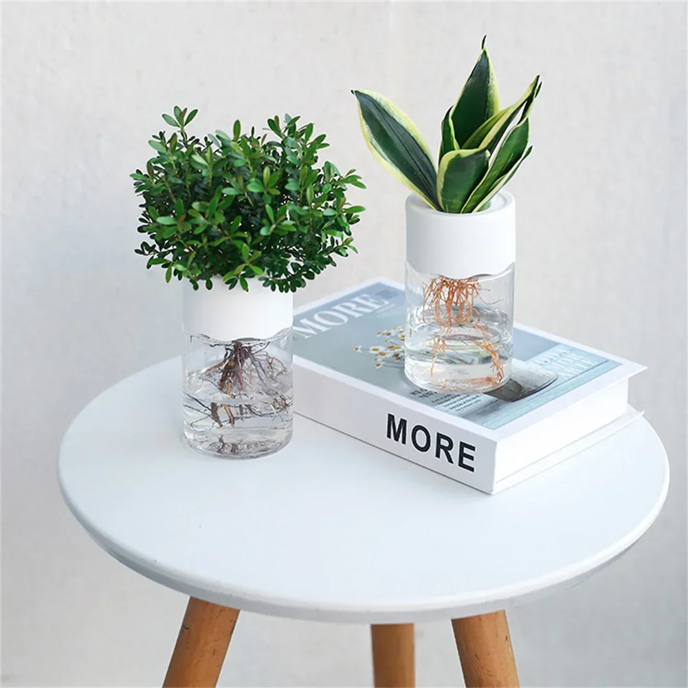Mini Hydroponic Flower Pot Tra - đánh giá và giá Aloe Vera Pot