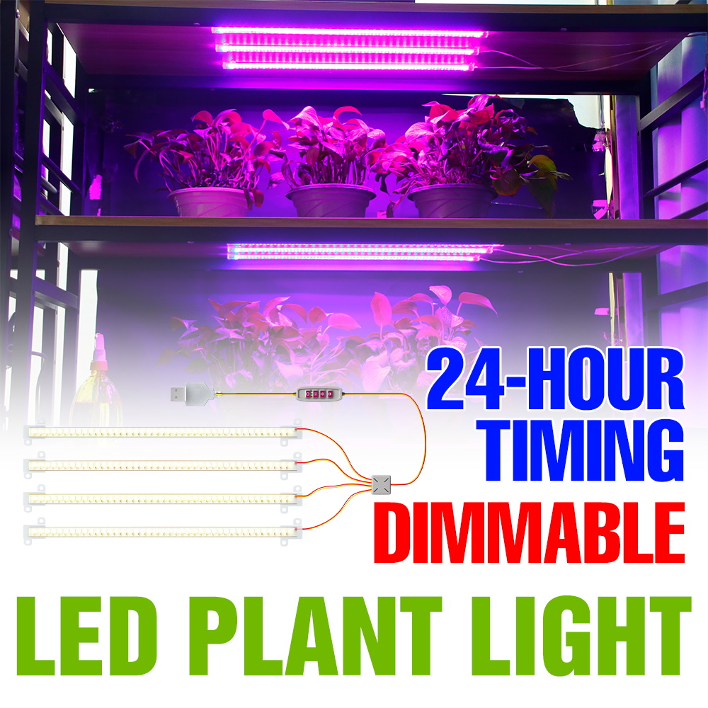 LED Indoor Plant Light Bar USB - đánh giá và giá Echeveria Succulent