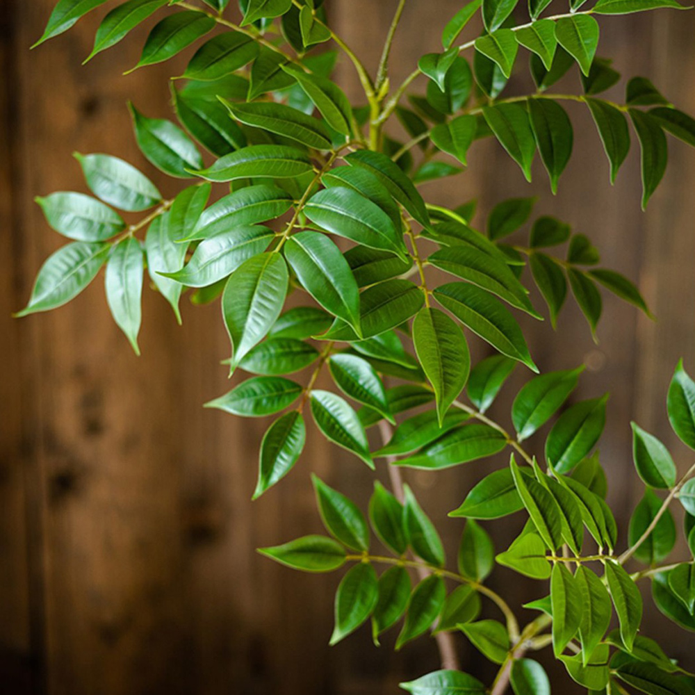 76-140cm Large Artificial Ficu - đánh giá và giá Ficus Lyrata Tree