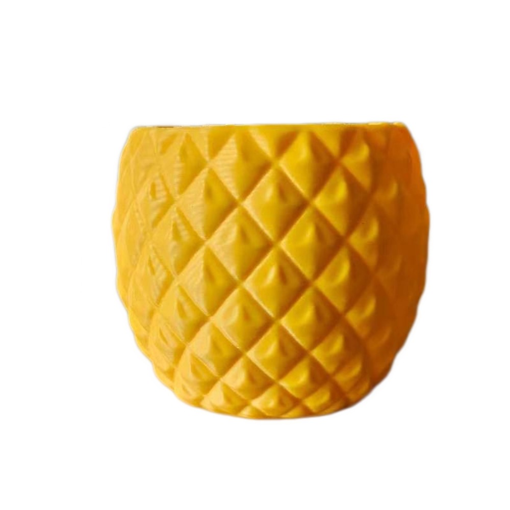 Plastic Fruit Flower Pot 3D Pr - đánh giá và giá Echeveria Succulent