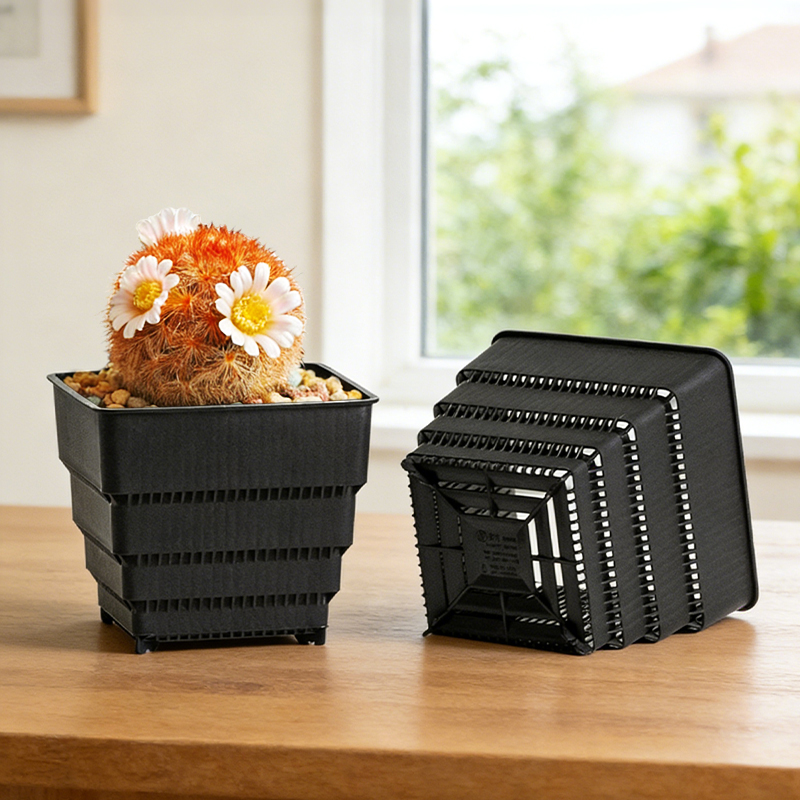MESHPOT 6-Pack Square Pots for - đánh giá và giá Echeveria Succulent