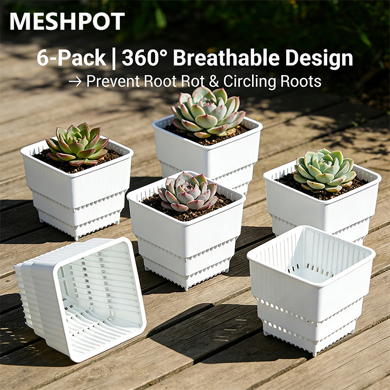 MESHPOT 6-Pack Square Pots for - đánh giá và giá Echeveria Succulent