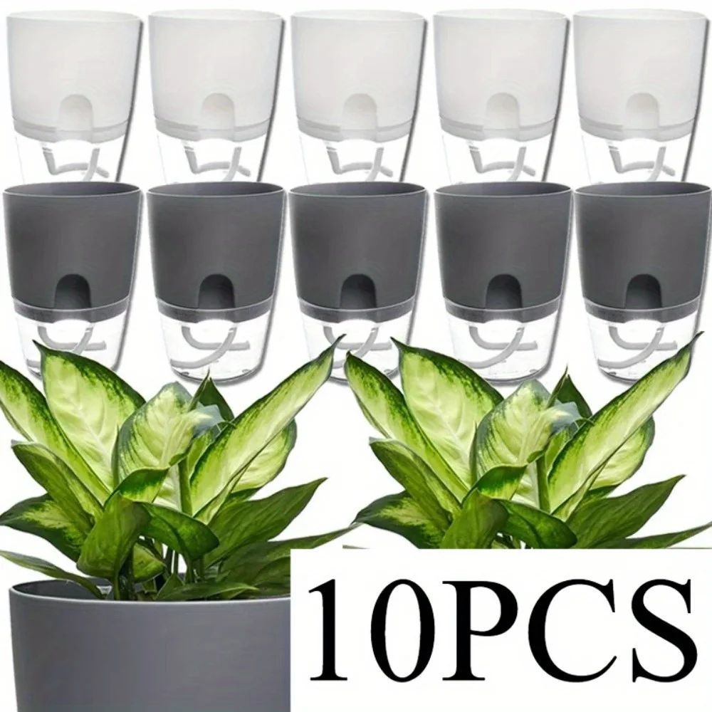 10/5Pcs Self Watering Plastic  - đánh giá và giá Aloe Vera Pot