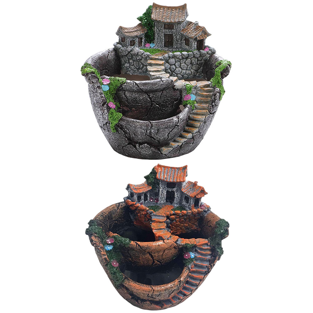 Succulent Pot Vintage Multi Po - đánh giá và giá Echeveria Succulent