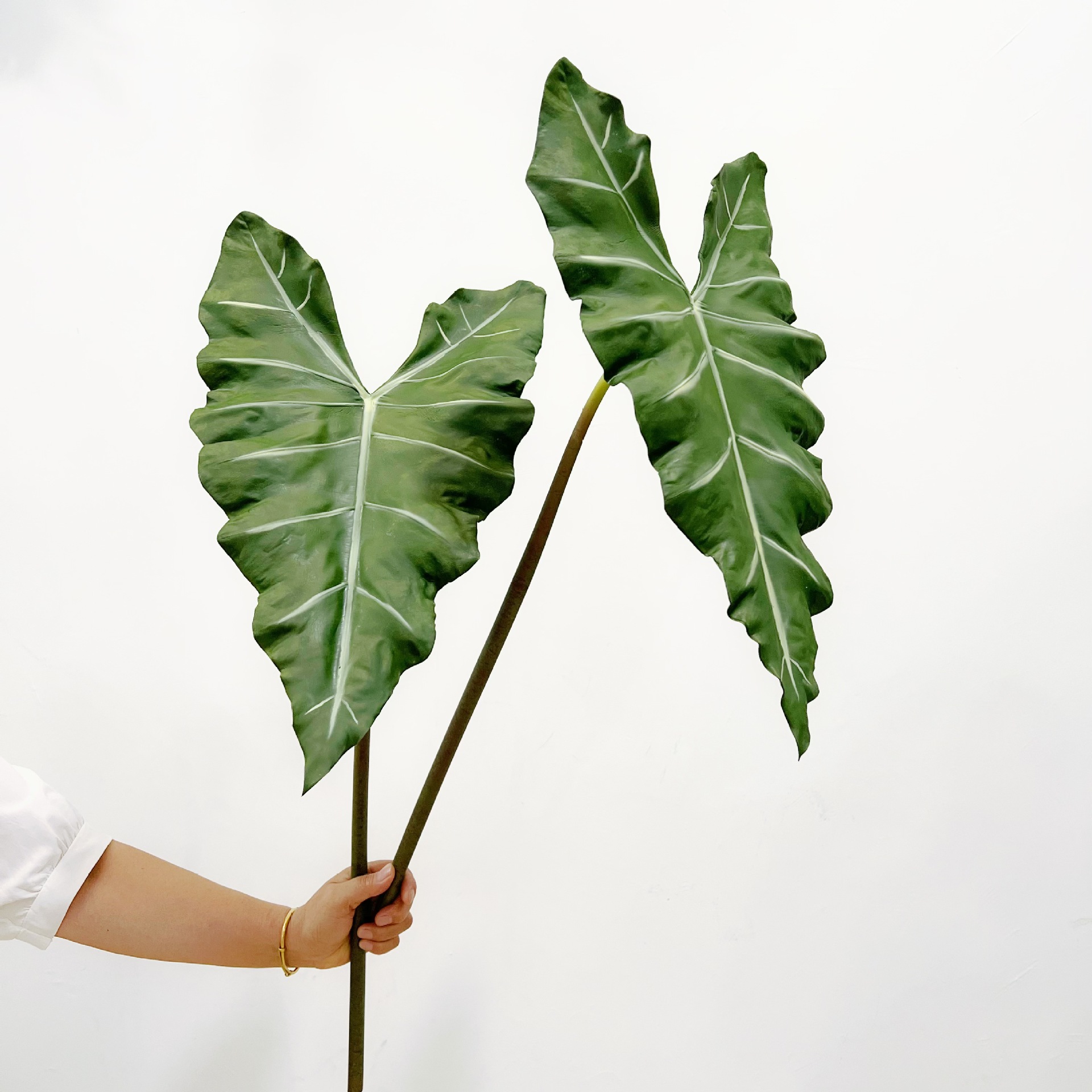 Simulated Long PU Hand-feel Gr - đánh giá và giá Monstera Adansonii